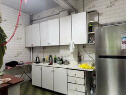Botanic Gardens View (D10), Apartment #466462841